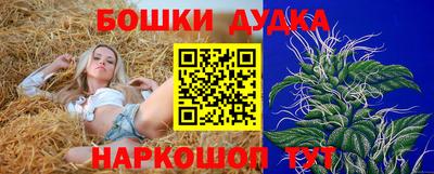 гашик Кандалакша