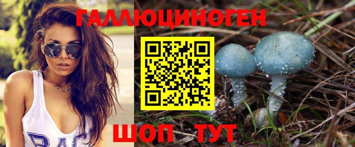 Псилоцибиновые грибы GOLDEN TEACHER  Вход с VPN  Шебекино 
